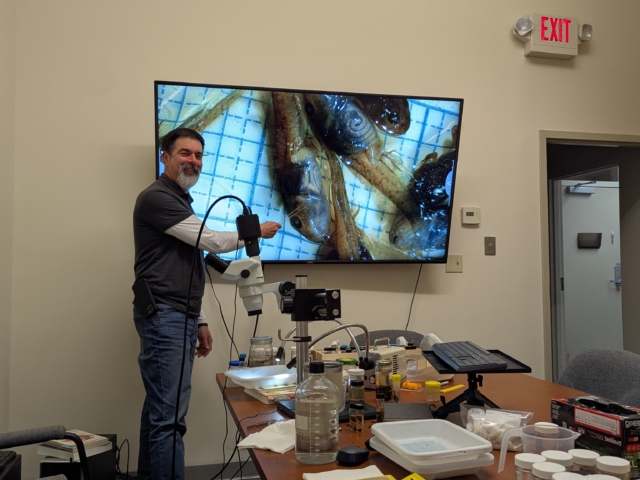 Instructor Scott Smyers pointing to a specimen screen during a Larval Amphibian ID workshop.