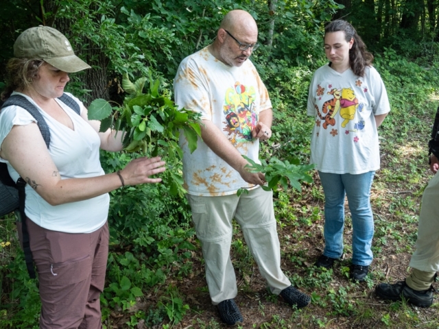 Instructors explaining leaf characteristics during a woody plant identification workshop.