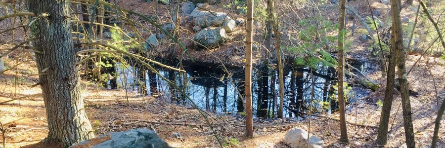 Delineating Wetlands on the Cusp of the Growing Season