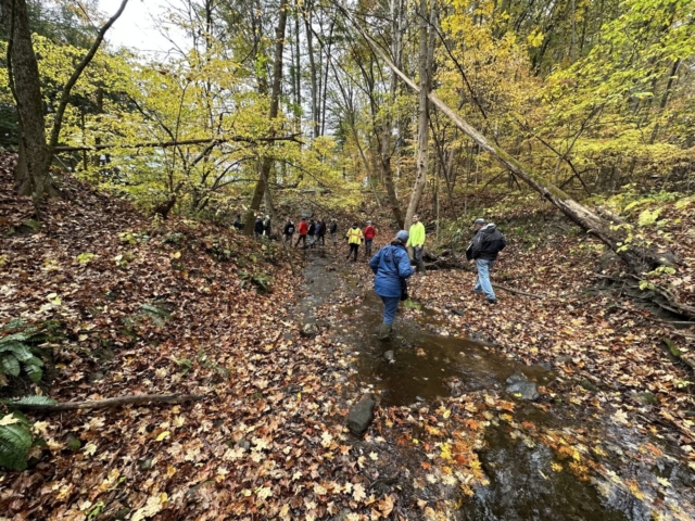 Attendees walking along a rocky stream bed to delineate the mean annual high water mark.