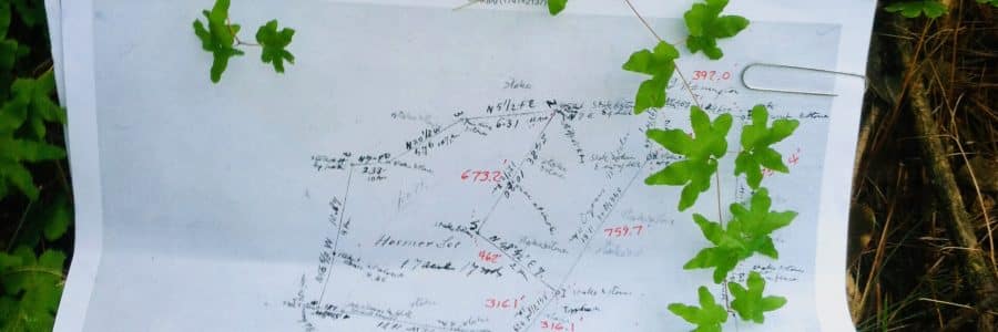 Thoreau’s Fern Walk